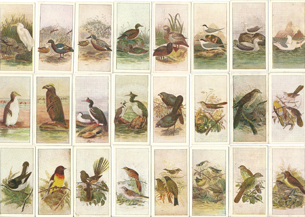 remaining 24 bird cards & link back to main ephemera page