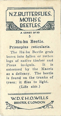 Back of card 5