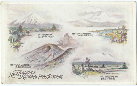 (front of postcard) Wilson Bros. Postcard, New Zealand's National Park District (from set 1)