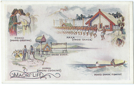 (front of postcard) Wilson Bros. Postcard, Maori Life and Customs