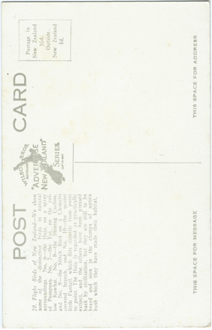 (back of postcard) Wilson Bros. Postcard, Flight Birds of New Zealand (from set 3)