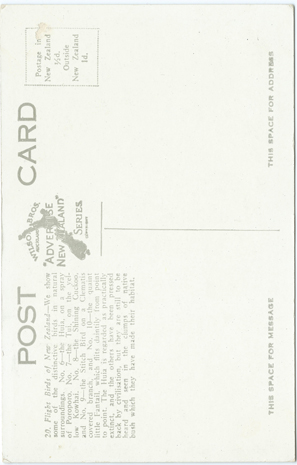 (back of postcard) Wilson Bros. Postcard, Flight Birds of New Zealand (from set 3)<