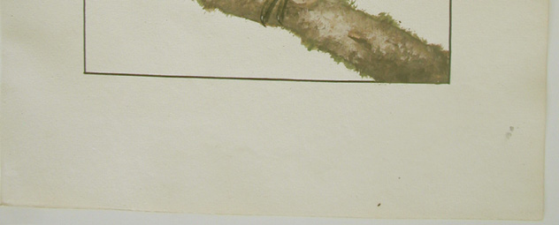 close-up showing dark spots in lower right and bottom margin