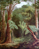 New Zealand Forest (Bush) Vegetation, link to John Gully prints