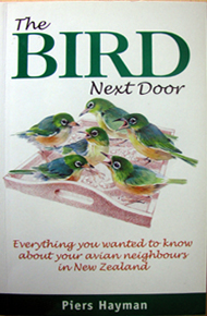 The Bird Next Door