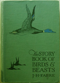 The Story Book of Birds & Beasts