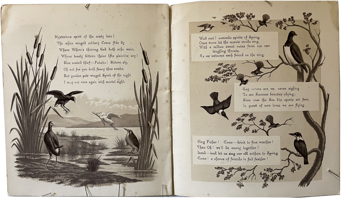 Land of the Moa(pages 8 and 9) A D Willis, New Zealand Sepia Lithograph booklet