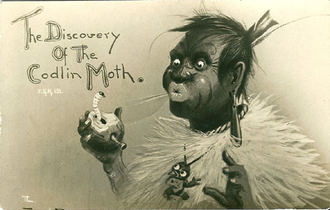 (front of postcard) Trevor Lloyd Postcard, The Discovery of the Codlin Moth