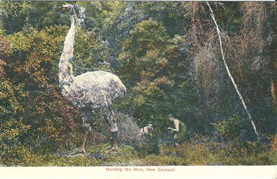 (front of postcard), Mock Moa Hunt