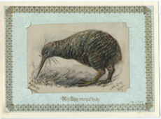 Willis, celluloid, Little grey kiwi -- LINK to larger image