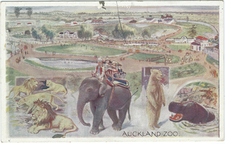 Wilson Bros Postcard, Auckland Zoo, -- LINK to larger image