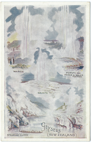 Wilson Bros. Postcard, Geysers (New Zealand), -- LINK to larger image