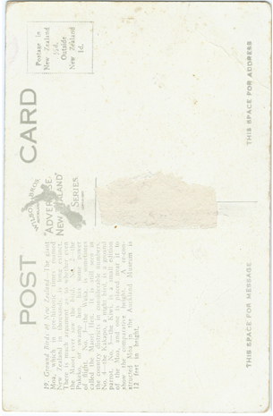 (back of postcard) Wilson Bros. Postcard, Ground Birds of New Zealand
