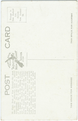 (back of postcard) Wilson Bros. Postcard, Flight Birds of New Zealand