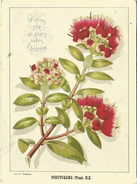 (front of card) A D Willis, New Zealand Chromolithographic Christmas cards, POHUTUKAWA (Tree), N.Z.
