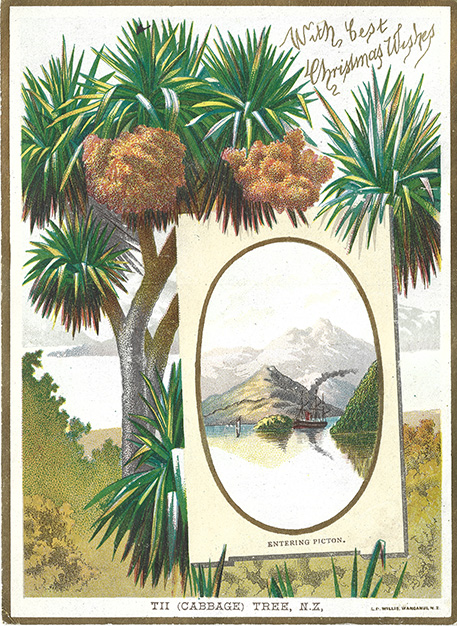 (front of card) A D Willis, New Zealand Chromolithographic Christmas cards, TII (CABBAGE) TREE, N.Z.