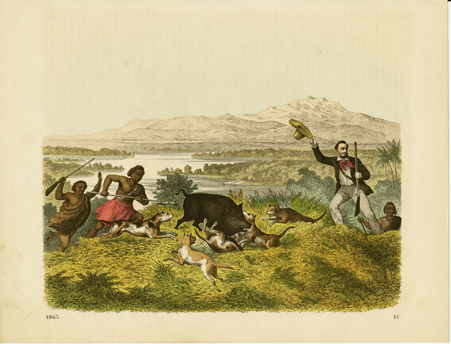 Pig hunting on the hills above Lake Wairarapa