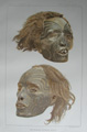 NZ Tattooed Maori Heads, 1882-83