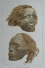 New Zealand Tattooed Maori Heads, Plate III
