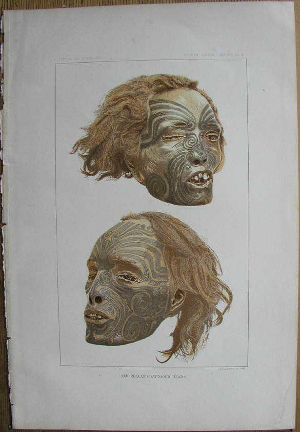 Plate III, New Zealand tattooed Maori heads