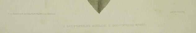 close-up showing title
