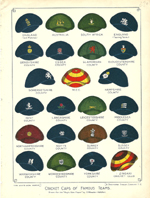 Cricket Caps of Famous Teams