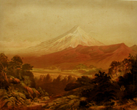 Gully, Mount Egmont, or Taranaki