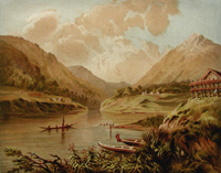 Gully, Up River Scene, Wanganui, Wellington
